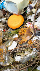 wild garbage dump. residual glass, plastics in the forest