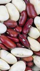 mixed white and red beans. background or texture