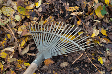 A fan rake on the ground where fallen leaves lie