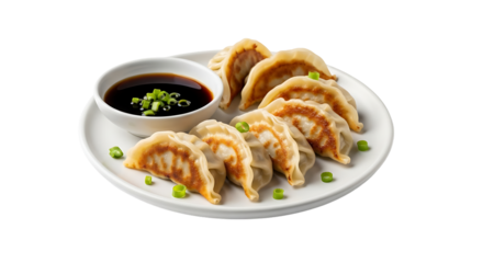 Savory dumplings on a white plate with rich dipping sauce and fresh scallions. A delightful culinary experience.