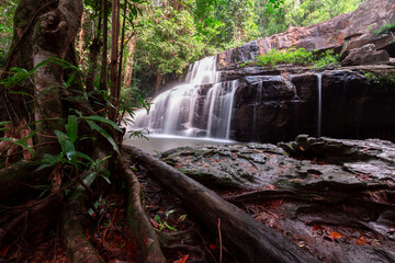 Serene Cascade: A captivating view showcases a mesmerizing waterfall flowing gracefully over textured rocks, embraced by the lush greenery of the surrounding jungle. 