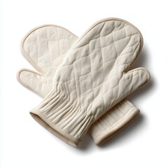 Pair of Oven Mitts