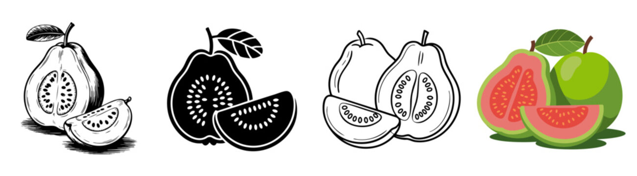 guava fruit and slice icon set with color, vintage, silhouette and engraving design, vector illustrations for tropical food and fresh juice
