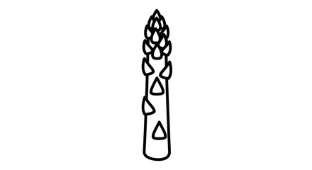 Simple black and white line drawing of a single asparagus spear.
