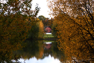 reflection of trees in the river