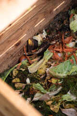 Vue sur l'intérieur d'un composteur ouvert en automne, format vertical