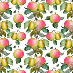 Hand drawn seamless pattern with ripe pink and yellow apples and leaves. Watercolor illustration.