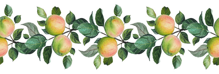 Seamless border with ripe green yellow apples and leaves. Watercolor illustration.
