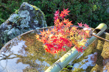圓光寺の水琴窟