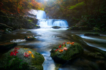 Beautiful autumn waterfall and changing leaves
Photo of a waterfall in Bangdong Valley, Bangtaesan...