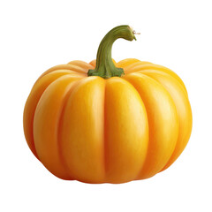 Bright Orange Pumpkin with Green Stem on Black Background autumn fall, Isolated On White Background, Png Transparent