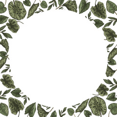 Fototapeta premium A beautiful vector frame with hand-drawn green leaves on a white background. This artistic floral design is ideal for invitations, greeting cards, or decorative projects