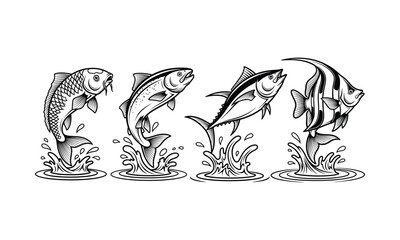 Naklejka premium Four Types of Fish Leaping Out Of Water Drawing Outline Graphic