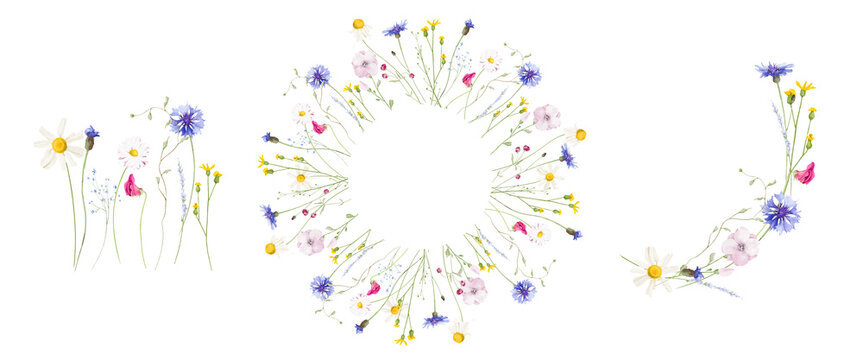 Watercolor floral round wreath frame set. Wild meadow blue cornflowers, pink, violet, orange, yellow flowers, green branches. Hand drawn style illustration. Artistic template design.