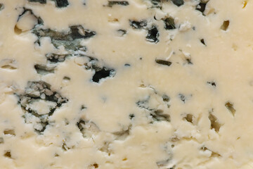 food background of blue cheese texture close up