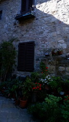 Naklejka premium Old house with flower pots