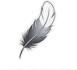 Stylized Feather Illustration on White Background 