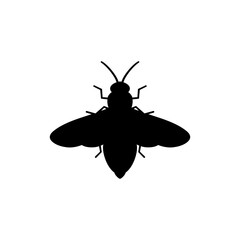 Insect firefly silhouette vector flat design on white background.