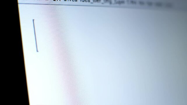 Cursor Blinking in Text Field on Computer Screen Close Up View