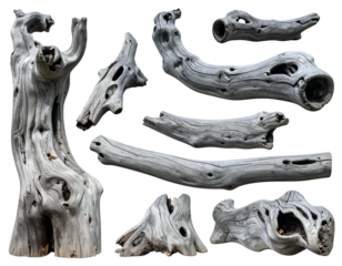 Weathered, hollowed wood pieces, organic shapes, varied textures