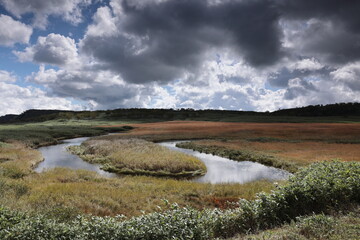 秋の雨竜沼湿原
