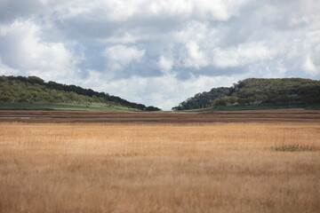 秋の雨竜沼湿原
