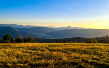 Meadow on a Blotnia Mountain. Beskides.