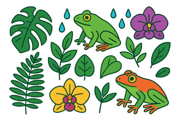 Colorful tropical frogs, exotic leaves, and blooming orchids from the rainforest