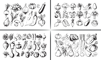 vegetables doodle illustration, fresh veggies vector, hand drawn fruits sketch, organic food design, healthy vegetables art, garden harvest illustration, nutrition food vector, natural farming doodle,