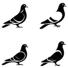 Elegant Pigeon Vector Silhouette