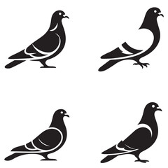 Elegant Pigeon Vector Silhouette