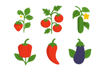 Set of fresh garden vegetables and fruits including strawberries tomatoes and peppers