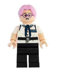 Obraz premium Dortmund - Deutschland 4. November 2025 - Lego Figur Corby der Serie One Piece - Studio Aufnahme