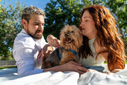 Loving couple spending quality time with their pet dog