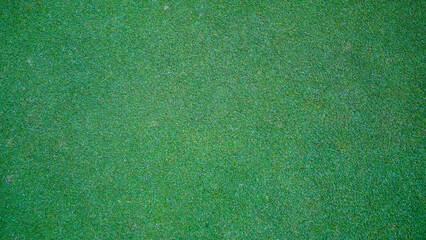 Green grass background, top view background of garden bright grass concept used for making green backdrop, lawn for sports field.