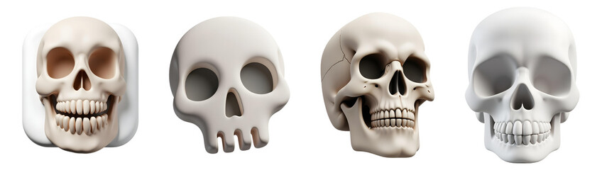 Set of four realistic human skulls in different styles showing anatomy and bone structure 3D render transparent png 