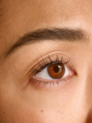 Fototapeta premium Closeup of female eye with natural lashes showing clarity and vitality. Concept of visual health, precision beauty, and attention to detail in skincare and wellness imagery.