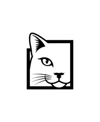 Cat face vector illustration against black background