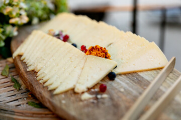 bocadillo, alimento, queso, aperitivo, comida, blanco, lonja, salubre, delicioso, fresco, almuerzo, salado, frio, exquisito, entrada, picada, gruyere, roquefort