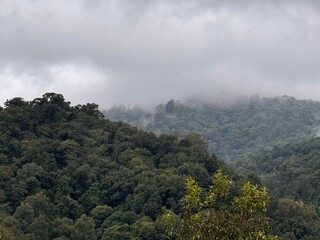 Beautiful Morning Misty Valley Nature Landscape at Sunrise