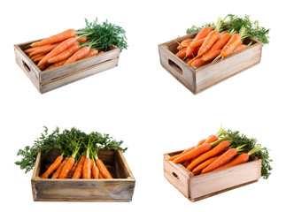 Fresh carrots in wooden box isolated. sets of carrots