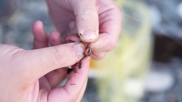 Man Fishing Preparation &ndash; Close-Up of Hands Putting Worm on Hook Outdoors