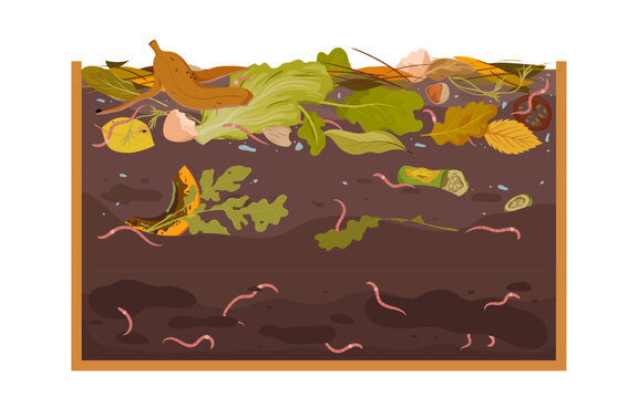 Organic waste, leaves, and food scraps decomposing in soil with earthworms, showing composting process and nutrient recycling, isolated on white background vector illustration