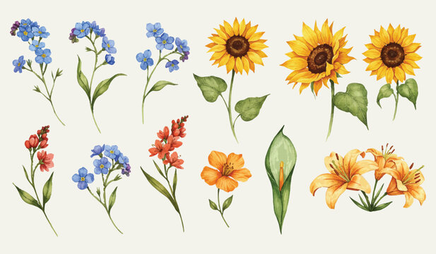 Beautiful watercolor illustrations of various blooming flowers including sunflowers, lilies, forget-me-nots, and gladiolus, perfect for decorative designs and artistic creations.