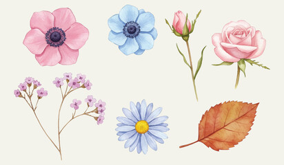 Elegant Floral Watercolor Collection Anemones, Roses, Daisy, and Leaf for Delicate Designs