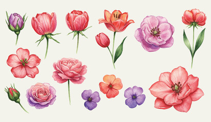 A vibrant collection of watercolor spring flowers, showcasing a variety of botanical illustrations. This hand-painted set includes roses, tulips, peonies, and other garden blooms, isolated for design 