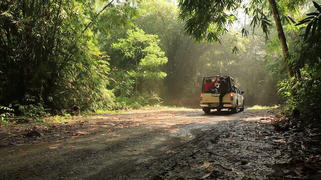 Phetchaburi, Thailand- 3 April 2014: Many tourists take pickup trucks to Ban Krang and Phoneon Thung campsites in Kaeng Krachan National Park, to see butterflies and the beauty of nature 