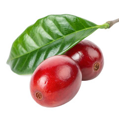 A whole coffee cherry fruit isolated on a transparent background