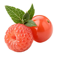 A whole coral berry fruit isolated on a transparent background