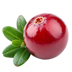 A whole cranberry fruit isolated on a transparent background